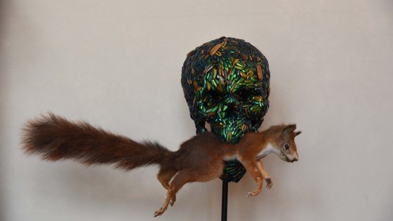 193212106-d5c86a29-d94a-4d39-8cf0-17f7ba4a27df