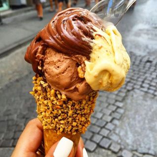 14262896_283230258729971_83740262_n